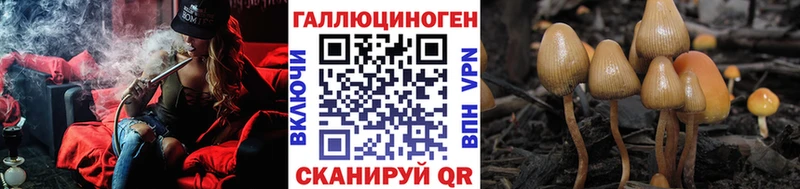 продажа наркотиков  Коломна  Псилоцибиновые грибы GOLDEN TEACHER 